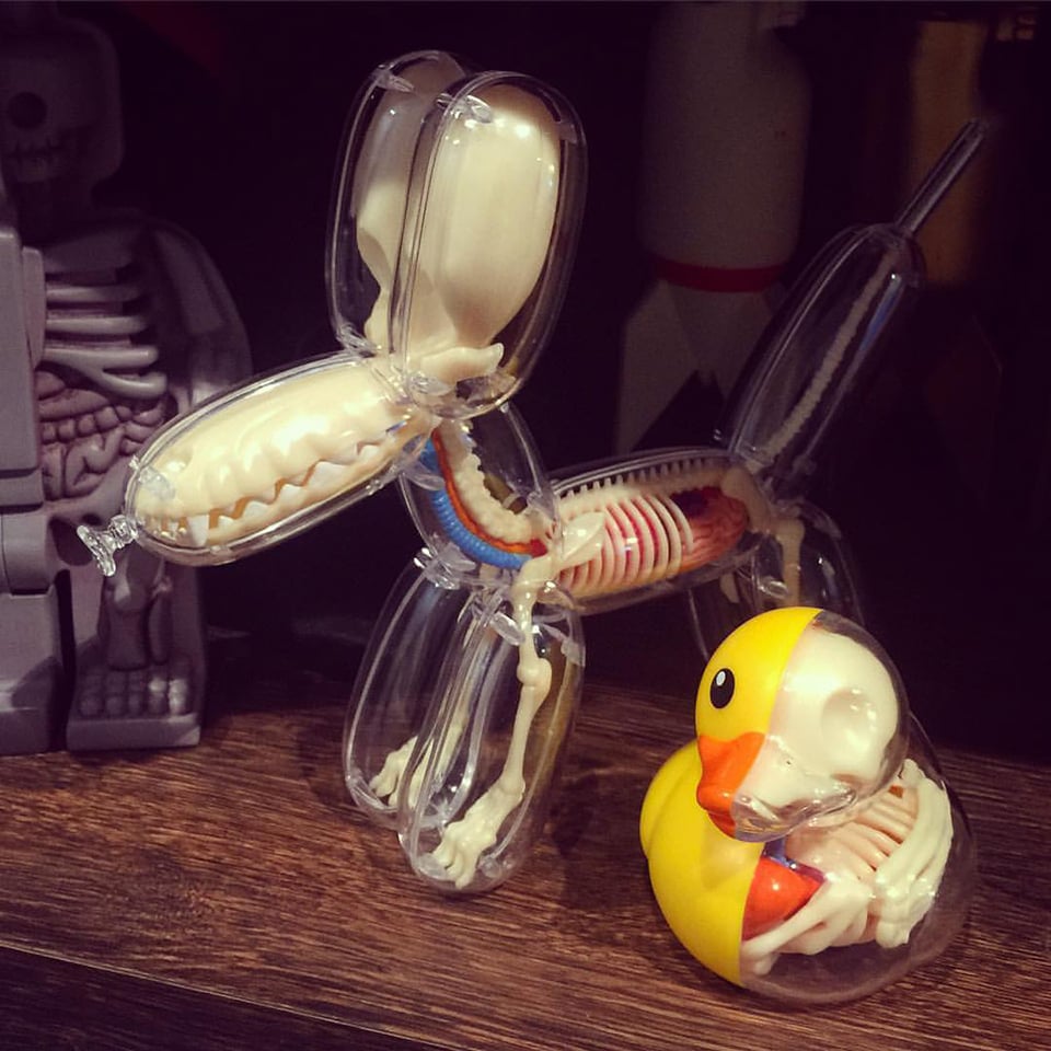 Ducky & Balloon Dog Anatomy Toys