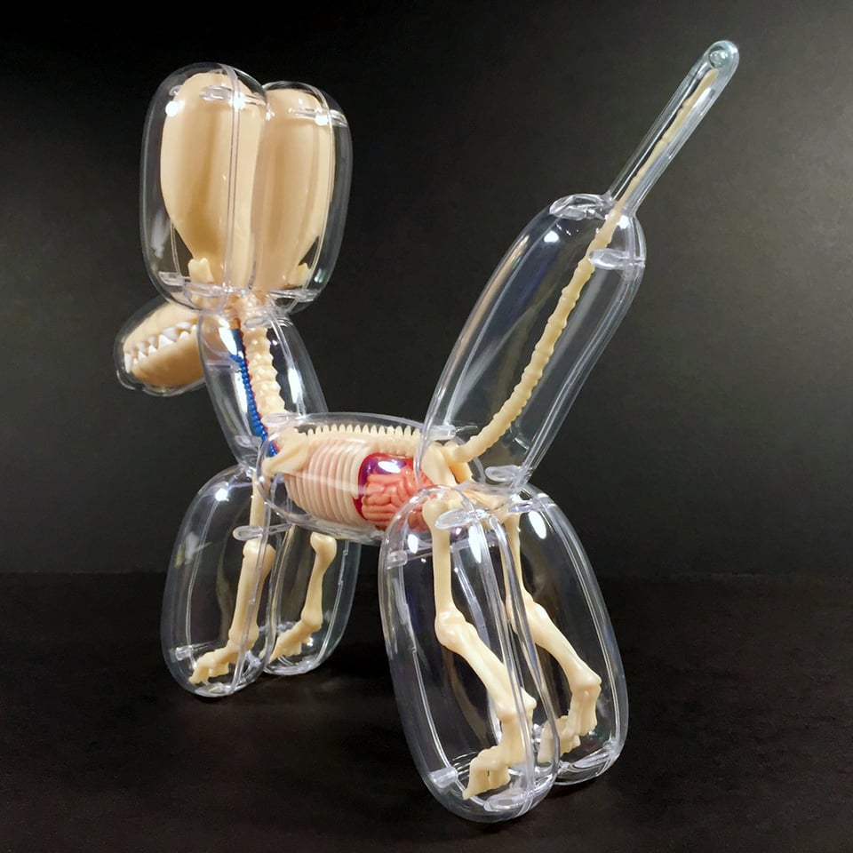 Ducky & Balloon Dog Anatomy Toys