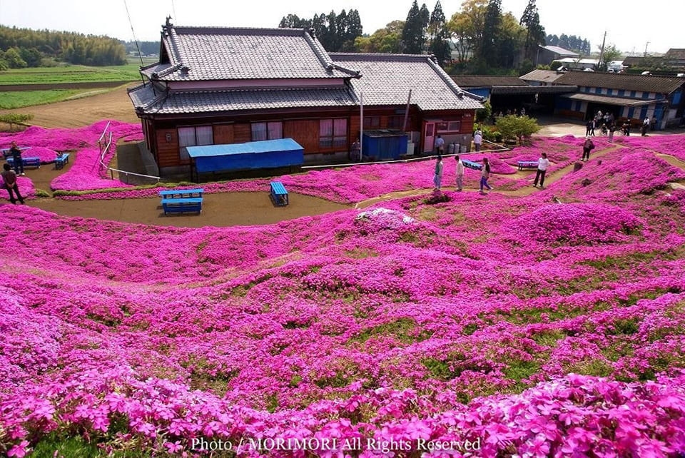 The Kuroki Home Garden