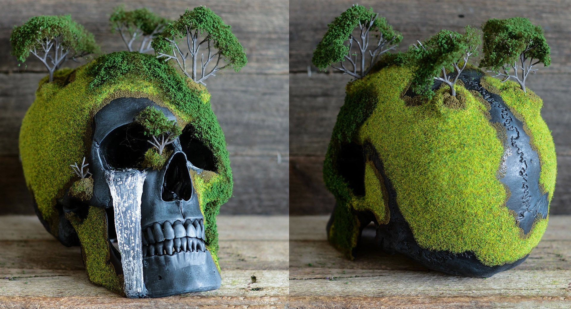 Bonsai Skulls