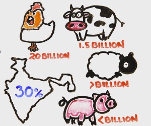 What If the World Went Vegetarian?