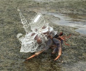 3D-printed Hermit Crab Shells