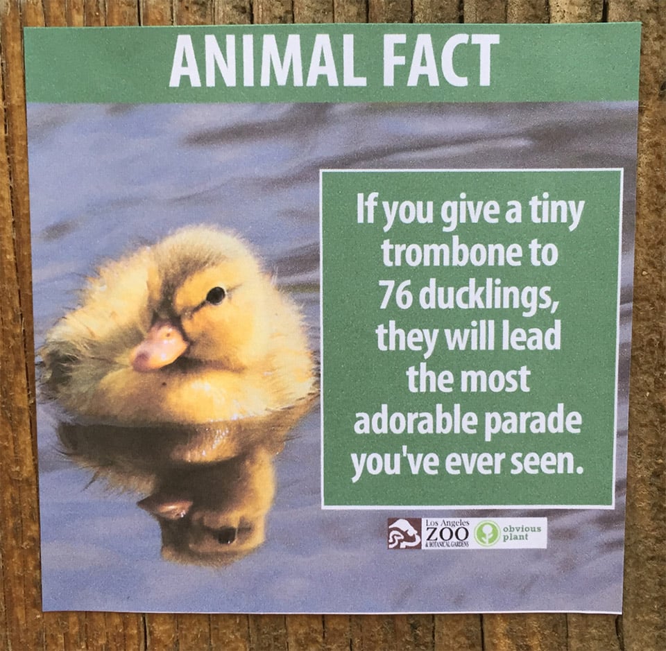 Obvious Plant Visits the Zoo