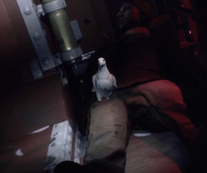 Battlefield 1: War Pigeons