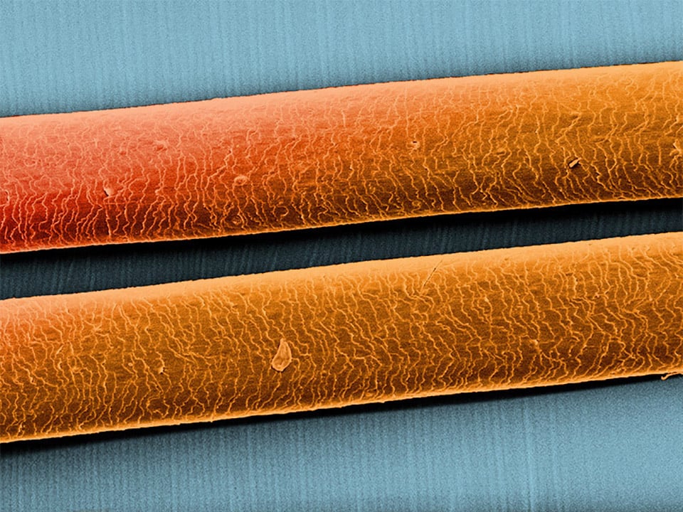 4Bluecells Microscopic Art