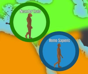 Are You Related to Neanderthals?