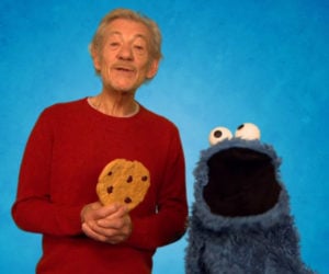 Eclectic Method: Cookie Monster
