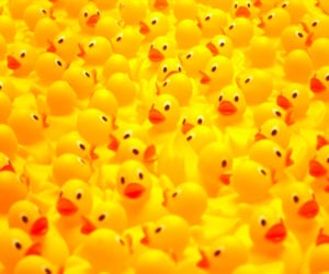 Why Rubber Duckies?