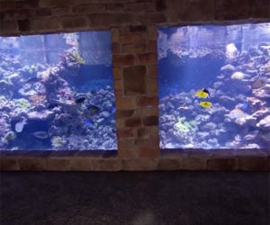 DIY 20,000 Gallon Home Aquarium
