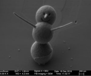 World’s Smallest Snowman
