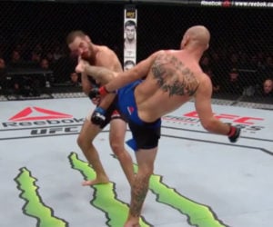 Great MMA Knockouts 2016