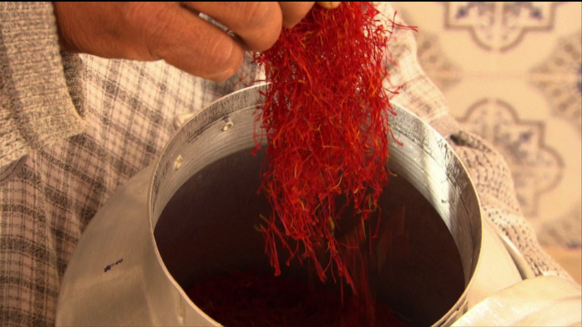 Harvesting Saffron