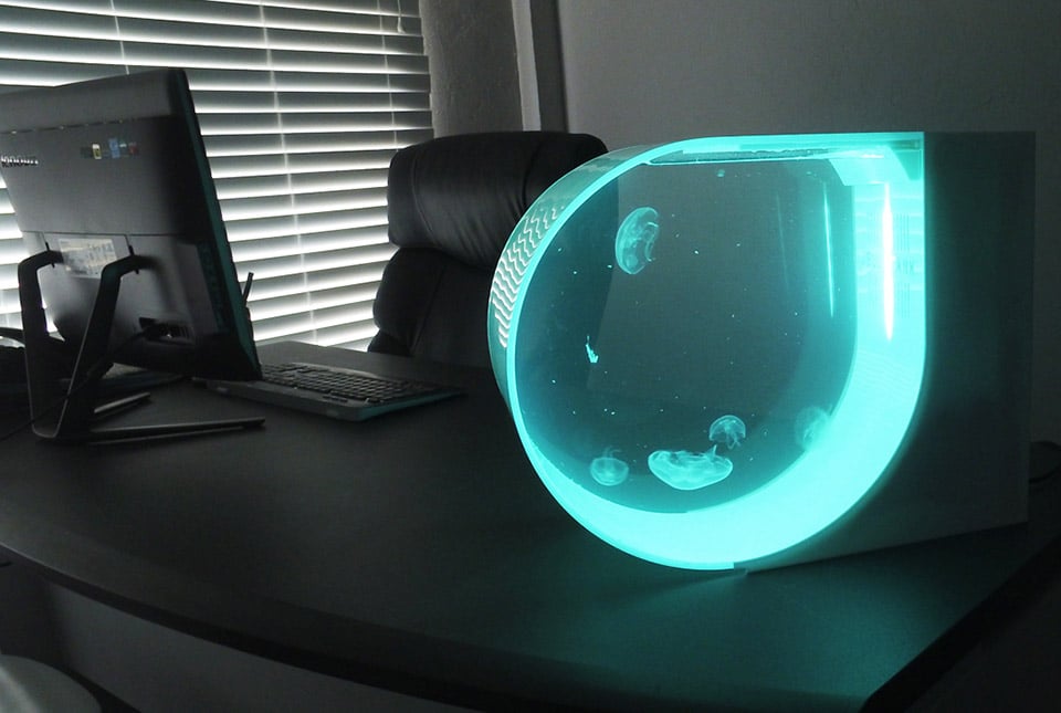 JellyTank Jellyfish Aquarium