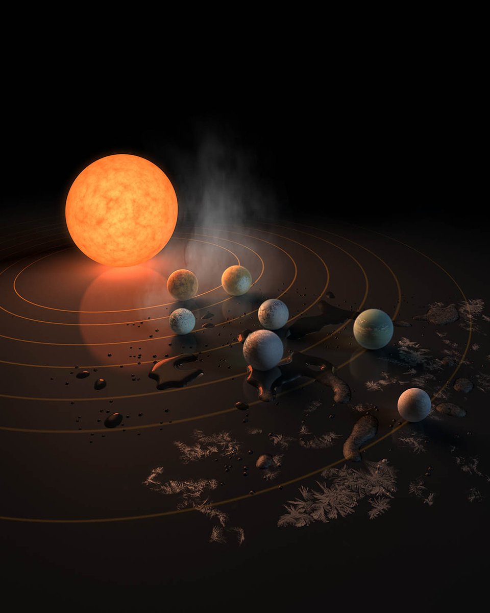 The Trappist-1 System
