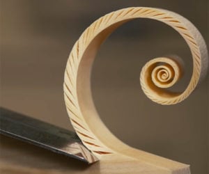 Shaving Fibonacci Spirals