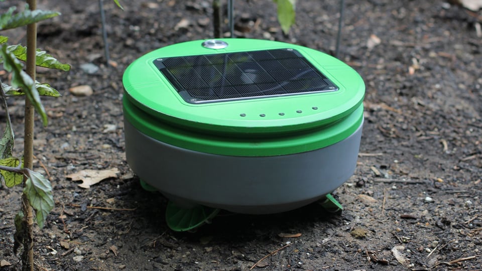 Tertill Robotic Weed Whacker