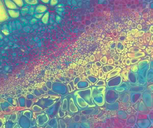 How to Make Acrylic Cell Paintings
