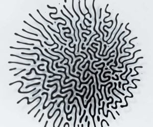 Cool Ferrofluid Patterns