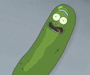 Pickle Rick Remix