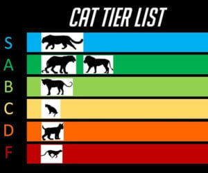 The Cat Tier List