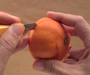 Tangerine Surprise