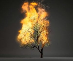 Simulating Burning Trees