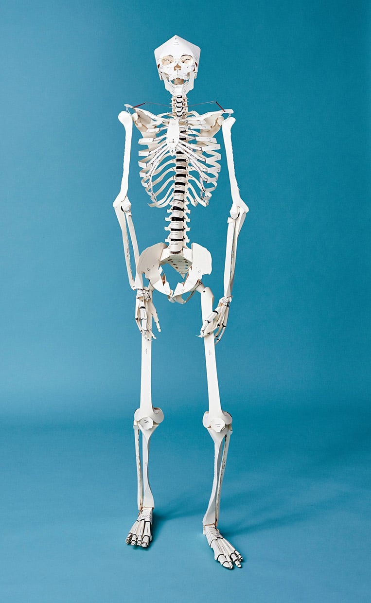 DIY Life-Size Papercraft Skeleton