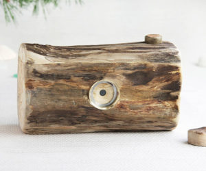 Driftwood Pinhole Cameras