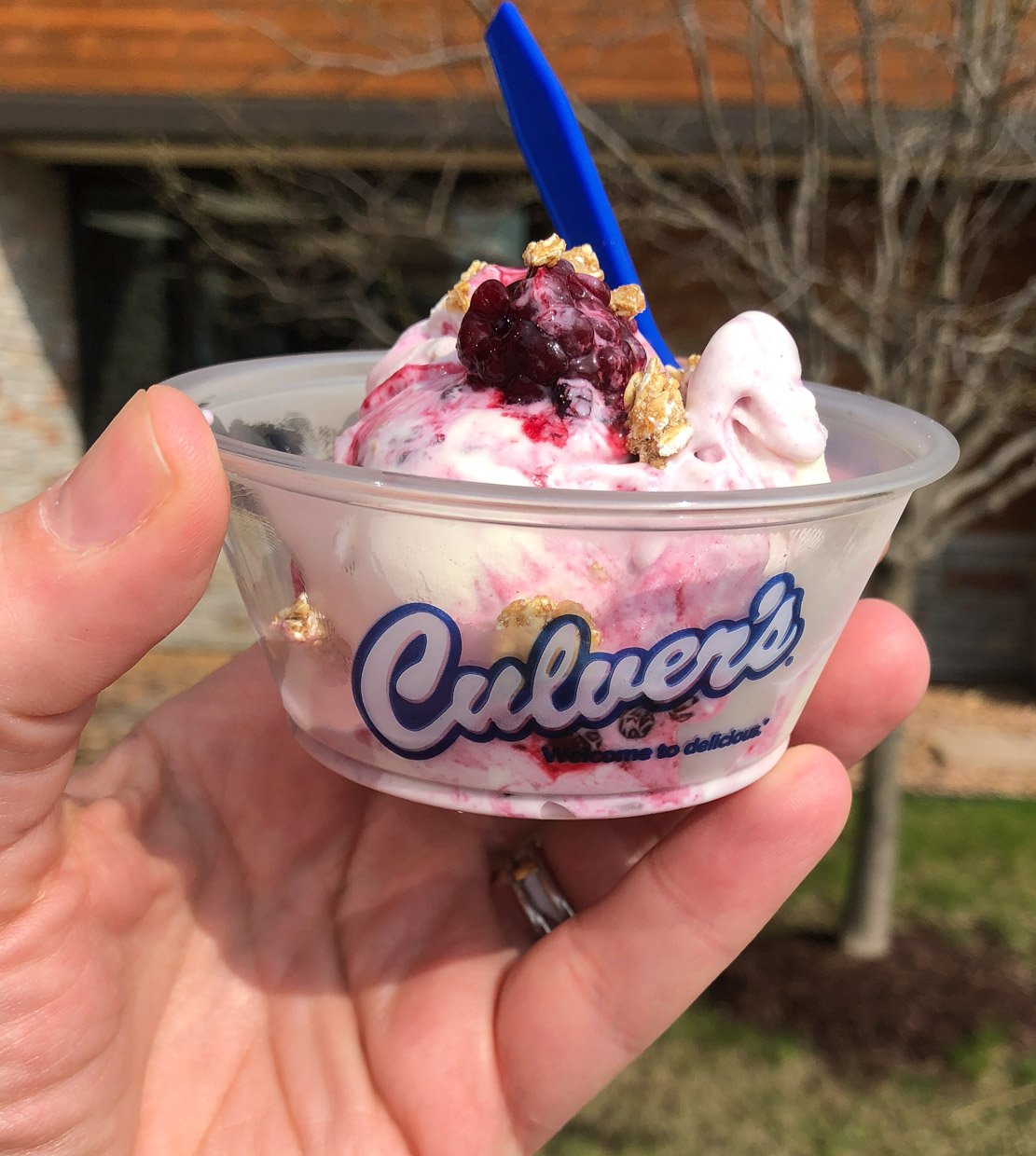 Culver’s New Flavors of the Day