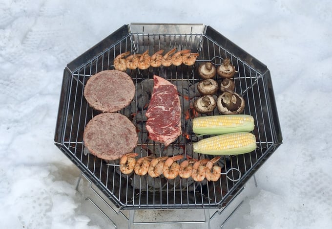 Verstoring Whirlpool Brandewijn Barbecue Anywhere with the Lightweight and Packable Nomad Grill