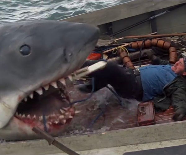 The Hidden Meaning in Jaws