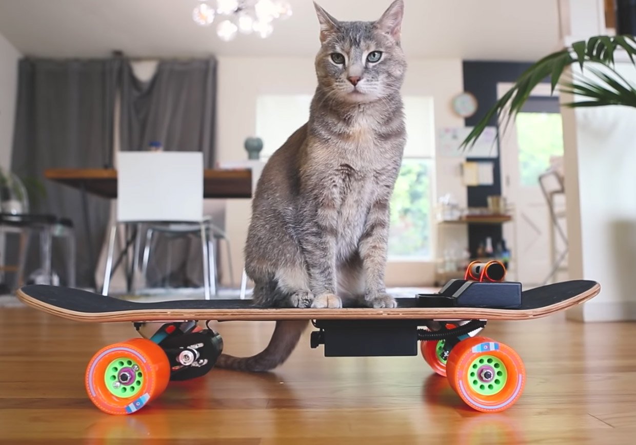 Skateboard for Cats