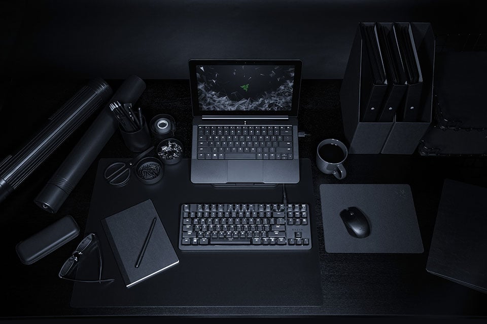 Razer Blackwidow Lite Keyboard