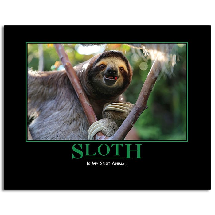 Get This Funny 2019 Demotivational Wall Calendar from ThinkGeek