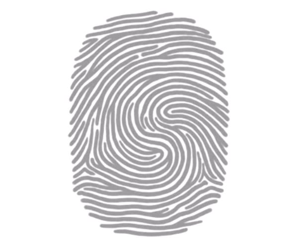 Why Are Your Fingerprints Unique?
