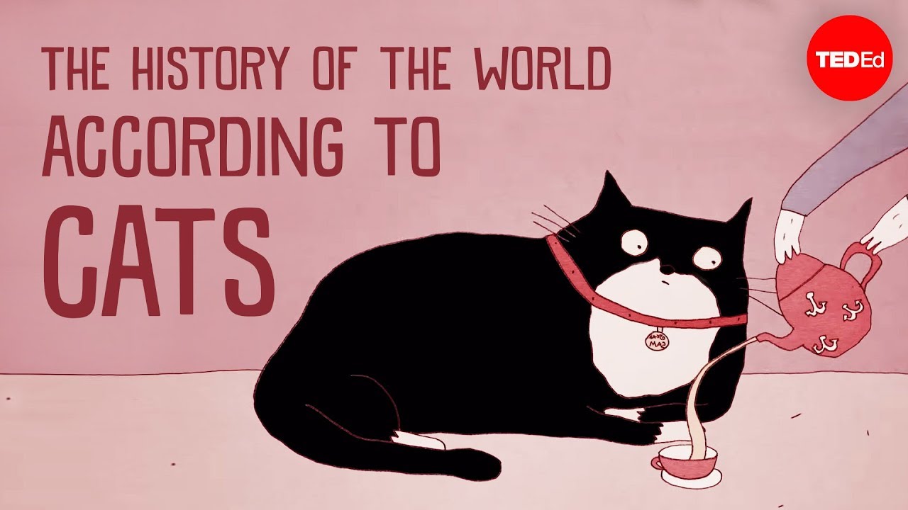 How And When Did Cats Become Domesticated 