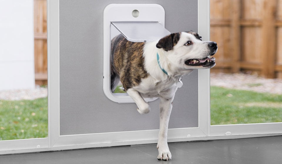 Wagz Go Smart Pet Door