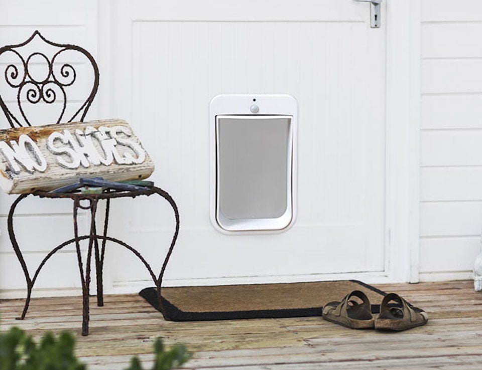 This Smart Pet Door Lets You See and Control When Your Pet Goes Out