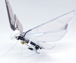 MetaFly Winged Drone