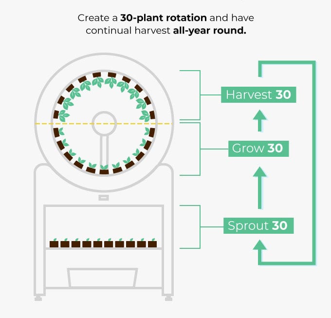 OGarden Smart Indoor Garden