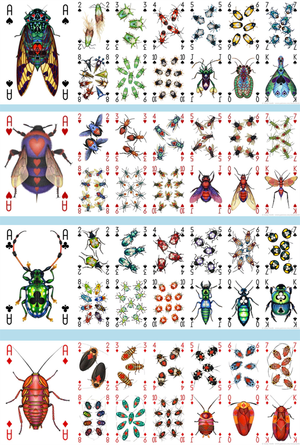 Insecta Playing Cards
