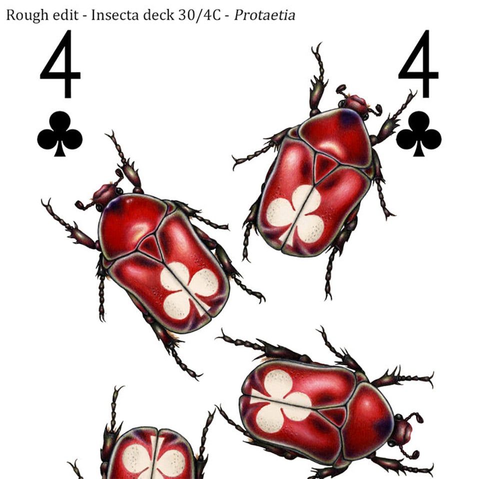 Insecta Playing Cards