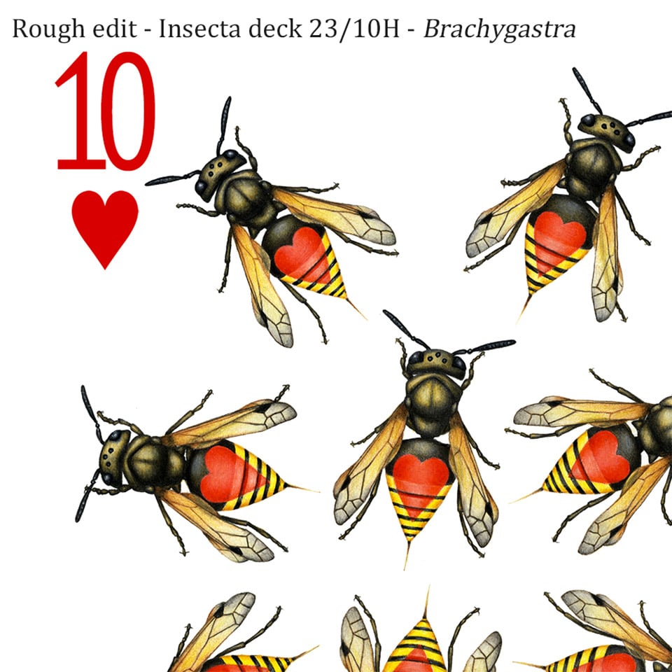 Insecta Playing Cards