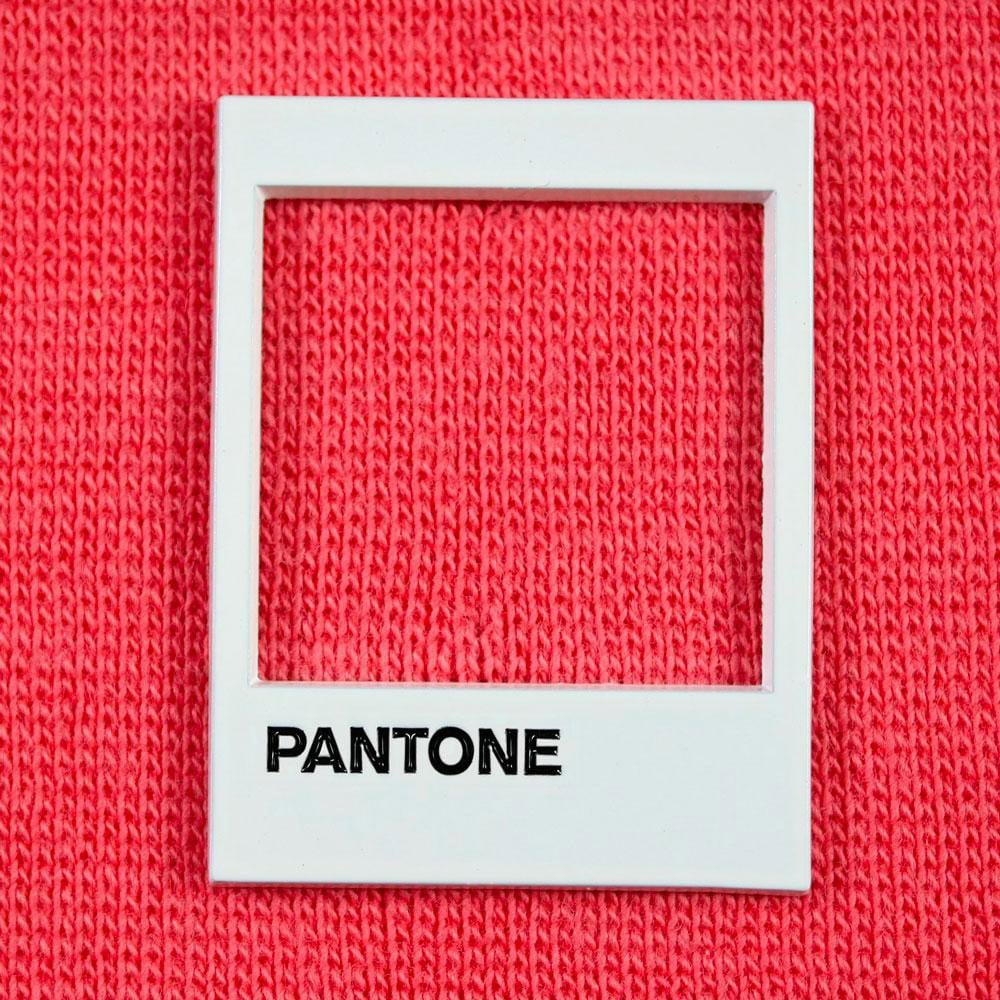 Pantone Pin