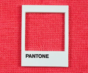 Pantone Pin