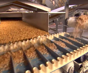 How Frosted Cereal Is Made