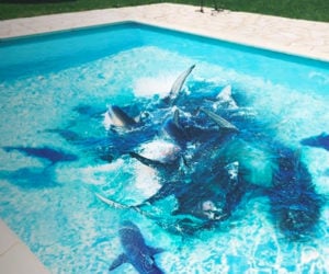 If You Fell Into a Pool of Sharks