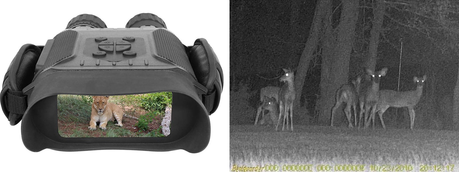 Digital Night Vision Binoculars