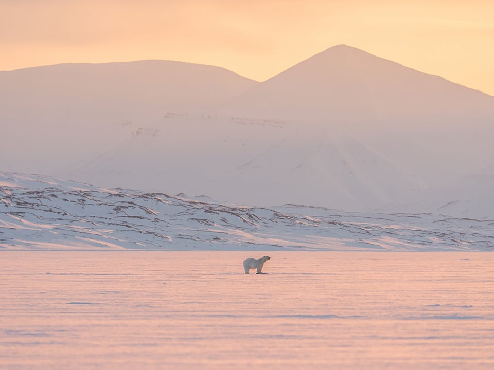 North Pole Igloos