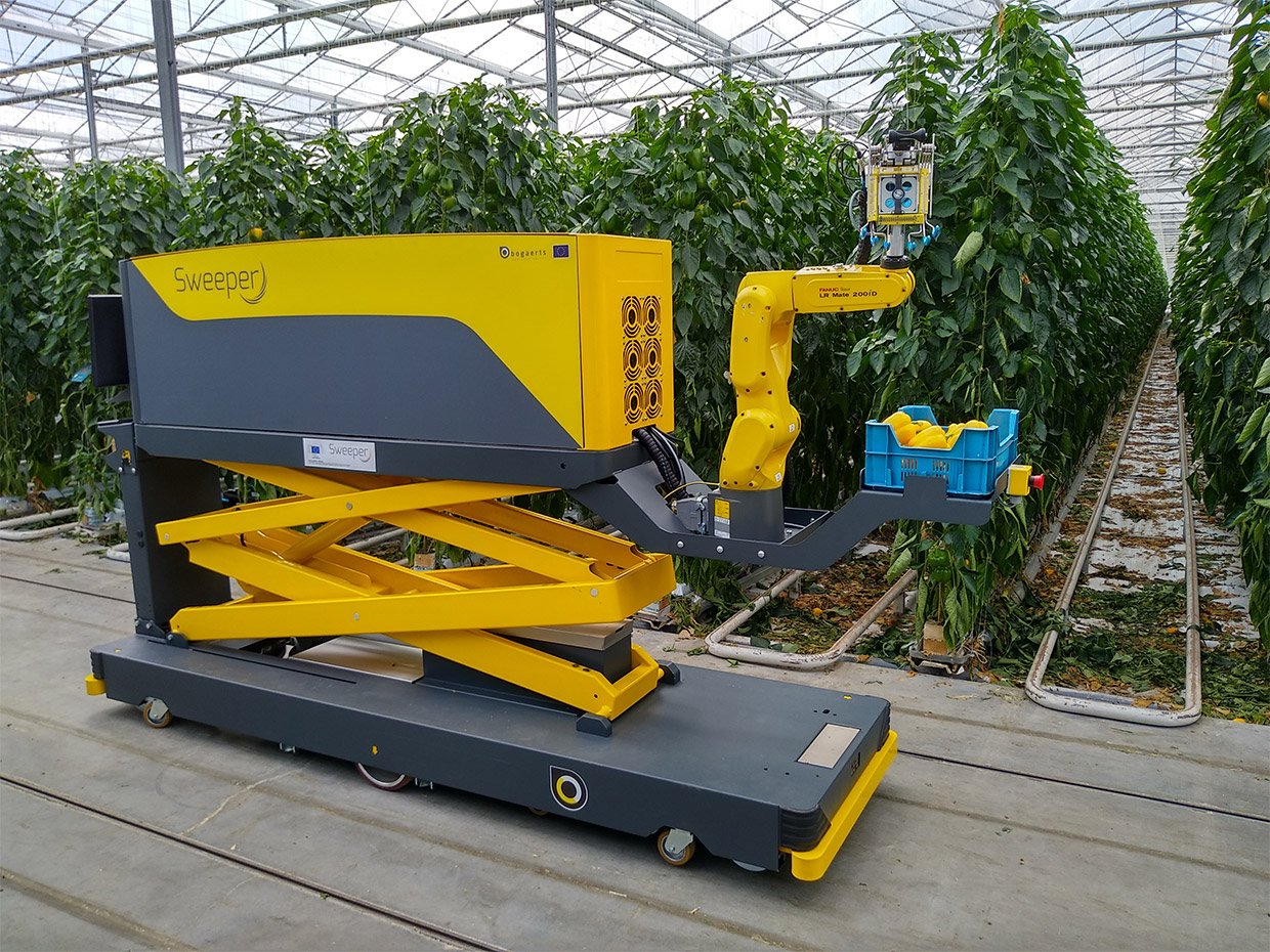 Pepper Picking Robot